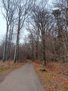 la_herberge_2025_11-02_900x1200