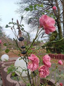 la_herberge_2025_11-04_900x1200