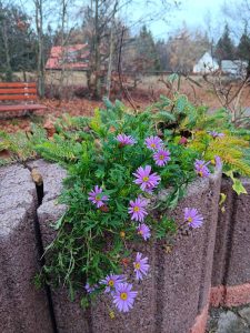 la_herberge_2025_11-06_900x1200