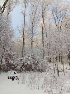 la_herberge_2025_11-07_900x1200