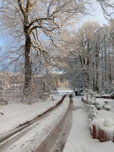 la_herberge_2025_11-10_900x1200