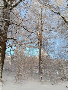 la_herberge_2025_11-11_900x1200