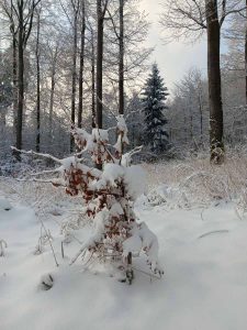 la_herberge_2025_11-13_900x1200