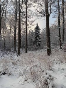 la_herberge_2025_11-14_900x1200