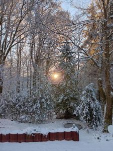 la_herberge_2025_11-15_900x1200