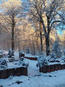 la_herberge_2025_11-16_900x1200