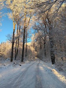 la_herberge_2025_11-21_900x1200