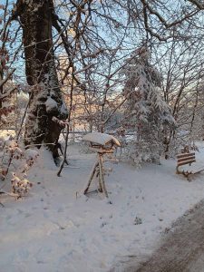 la_herberge_2025_11-25_900x1200