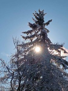 la_herberge_2025_11-27_900x1200