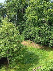 la_herberge_2026_06-02_900x1200