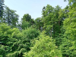 la_herberge_2026_06-03_1200x900