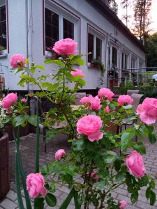 la_herberge_2026_06-27_900x1200