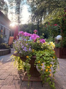 la_herberge_2026_06-32_900x1200