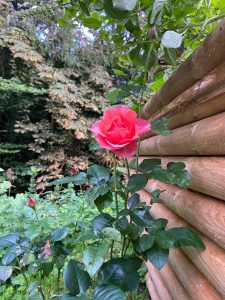 la_herberge_2026_09-03_900x1200
